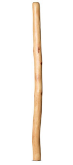 Medium Size Natural Finish Didgeridoo (TW854)